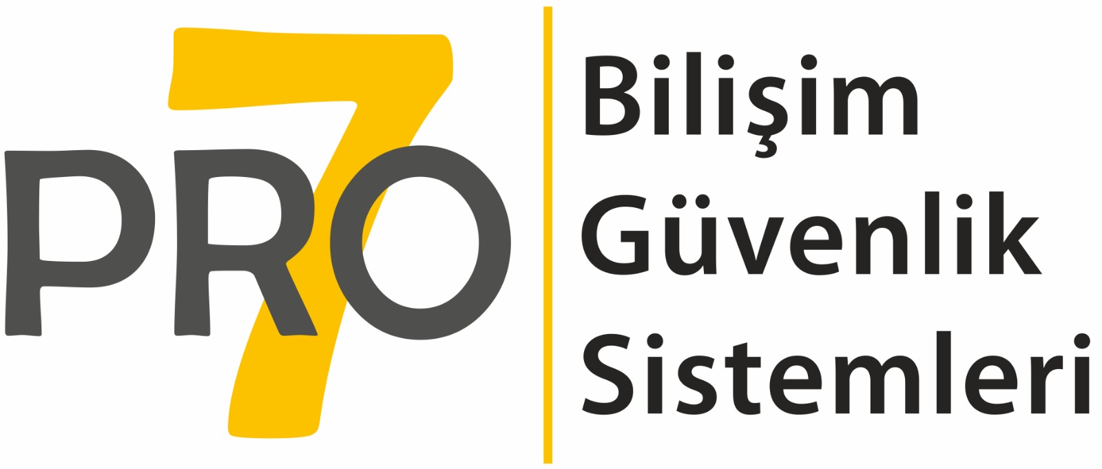 Pro7 Bilişim ve Güvenlik Hizmetleri